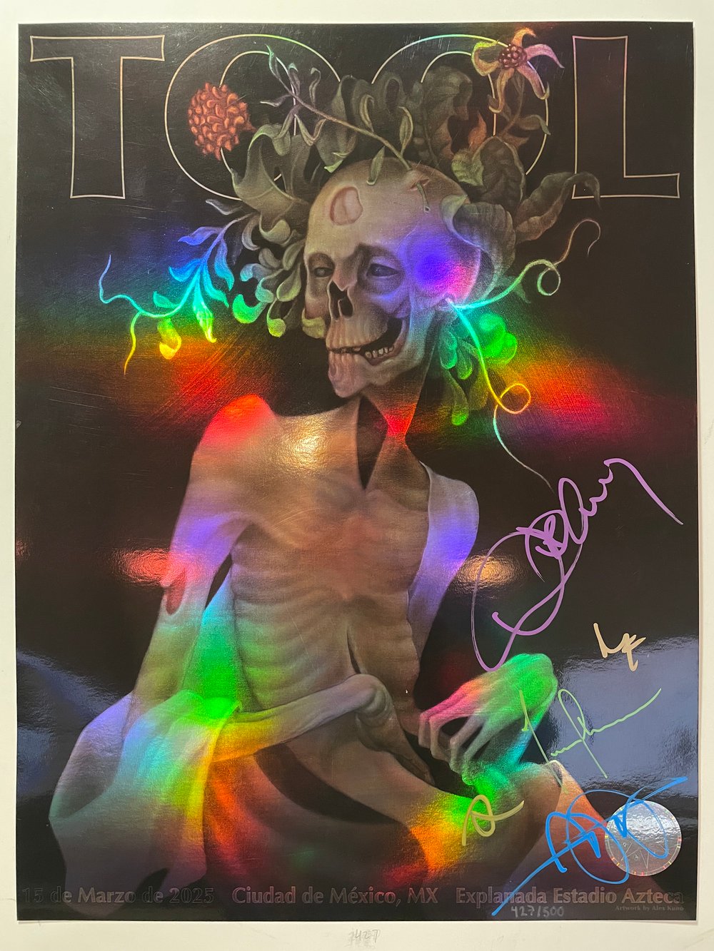 Image of Mexico City 2025 #427/500 (Band-Signed)