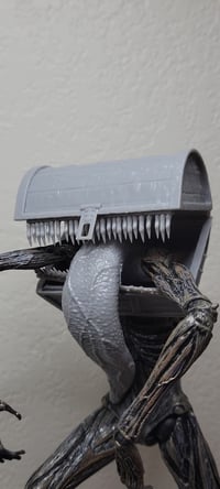 Image 1 of Mimic chest kit