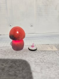 Image 5 of Light up glow shroom 1