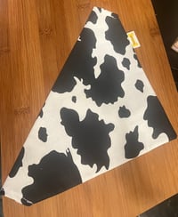 Cow Poke Bandana