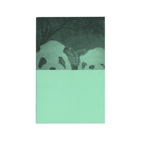 Image 1 of Pandas Are Pandas [Book]