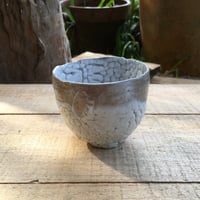 Image 1 of 22. Teabowl