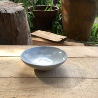 Image 1 of 29. Dish