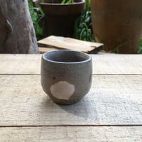 Image 1 of 33. Teacup