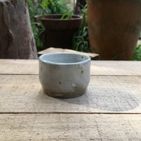 Image 1 of 35. Teacup