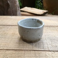 Image 3 of 35. Teacup