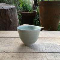 Image 1 of 36. Teacup