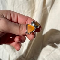 Image 1 of AMBER DUO RING (O)