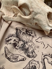 Image 4 of KING OF BEASTS | BEAR ARCHAEOLOGY [t-shirt]