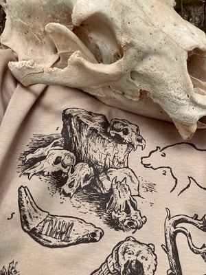 Image of KING OF BEASTS | BEAR ARCHAEOLOGY [t-shirt]
