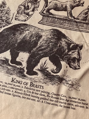 Image of KING OF BEASTS | BEAR ARCHAEOLOGY [t-shirt]