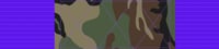 Image 6 of *PRE-ORDER* Camo Rank Bar Jiu Jitsu Belt
