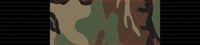 Image 8 of *PRE-ORDER* Camo Rank Bar Jiu Jitsu Belt