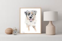 Image 2 of Australian Shepherd - Original Colored Pencil Dog Portrait