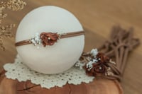 Image 1 of Stretch Tieback 2