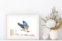 Image 2 of Coming in for a Landing - Bluebird Original Colored Pencil Portrait