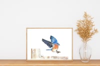 Image 3 of Coming in for a Landing - Bluebird Original Colored Pencil Portrait