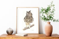 Image 3 of King - Original European Eagle Owl Colored Pencil Portrait