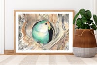 Image 3 of The Rough with the Smooth - Lovebird Original Colored Pencil Portrait