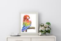 Image 2 of Red Macaw - Original Colored Pencil Bird Portrait