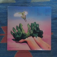 Image 2 of Raveena - Where The Butterflies Go In The Rain
