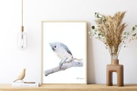 Image 3 of Tufted Titmouse - Original Colored Pencil Bird Portrait
