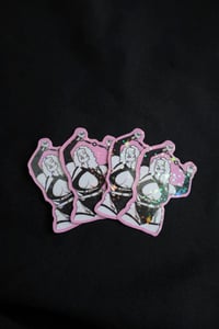 Image 3 of STICKERS - various S/W