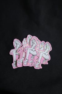 Image 5 of STICKERS - various S/W