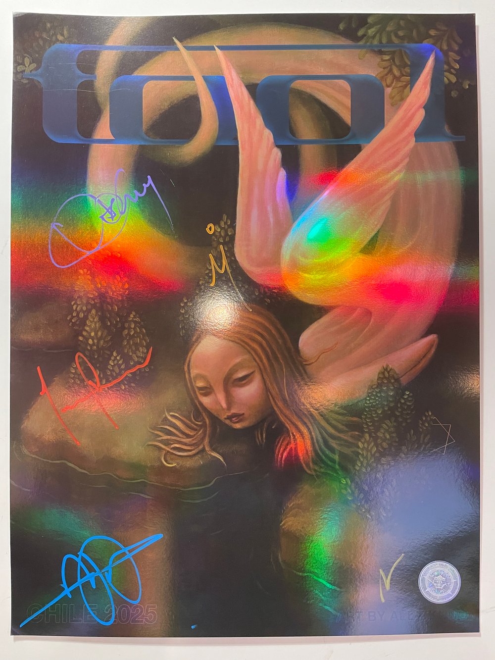 Image of Chile 2025 ("Pond") 5/10 Band-Signed