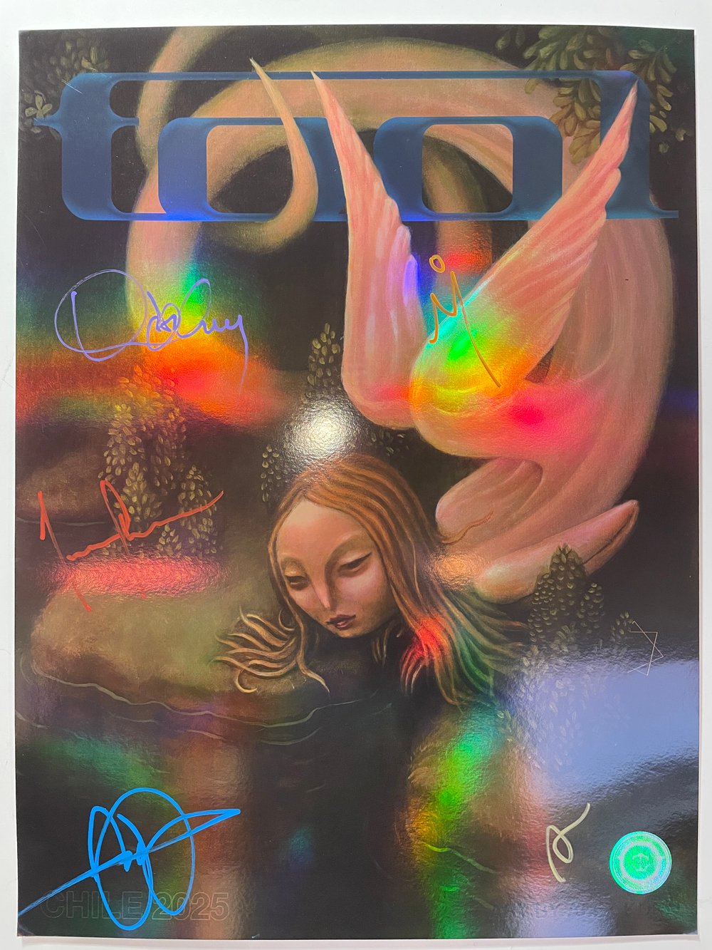 Image of Chile 2025 ("Pond") 6/10 BAnd-Signed