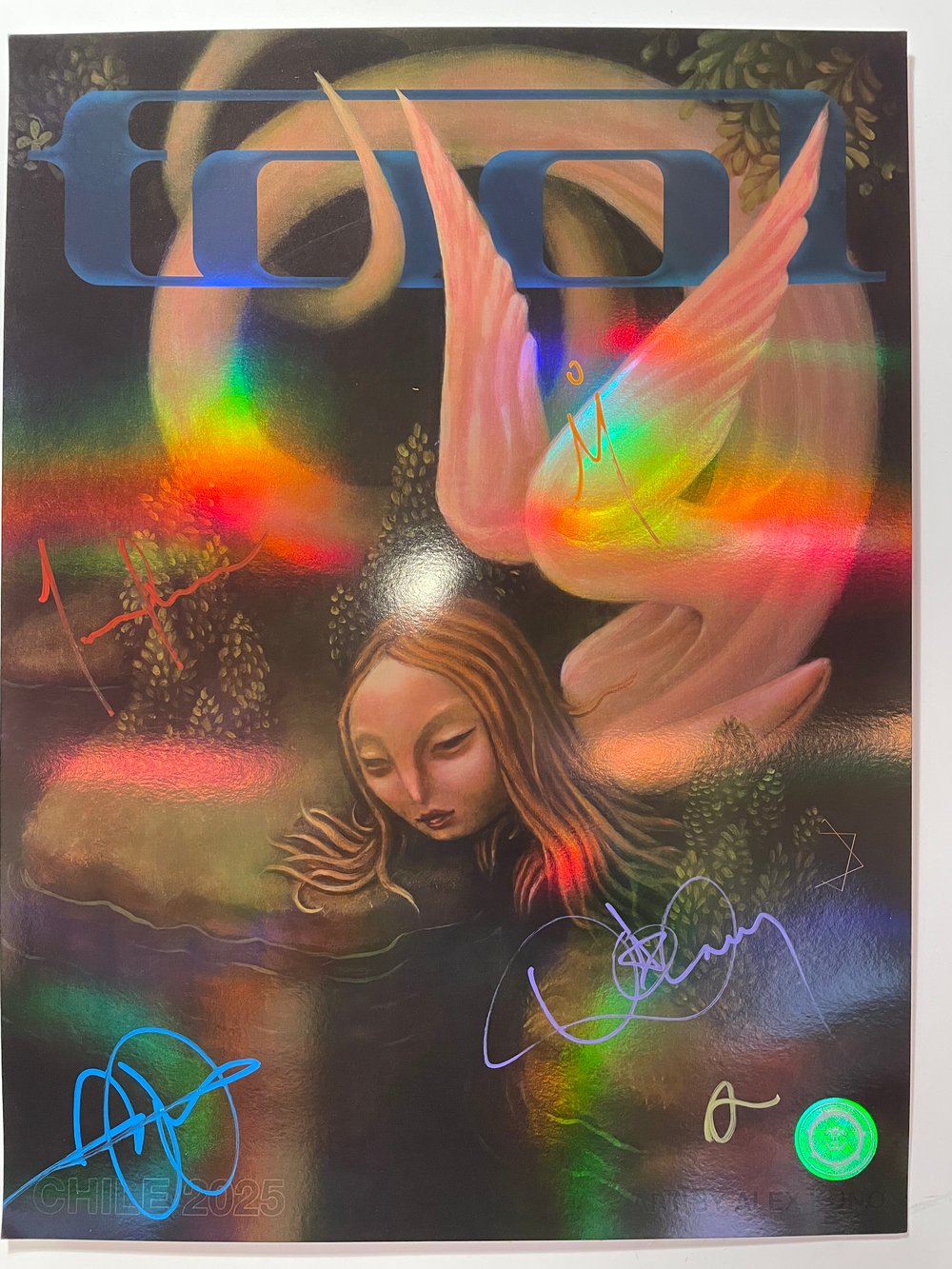 Image of Chile 2025 ("Pond") 9/10 Band-Signed