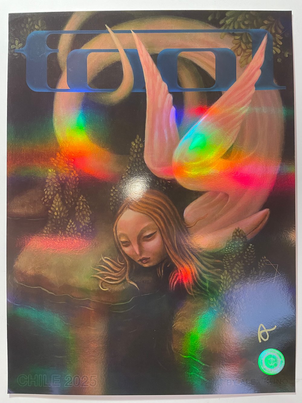 Image of Chile 2025 ("Pond") 5/10 Artist-Signed