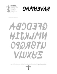 Image 5 of DamNevar (2 styles) - Custom Font by Justified Ink