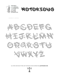 Image 4 of Notorious (1 style) - Custom Font by Justified Ink