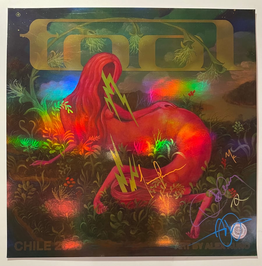 Image of Chile 2025 ("Signal") 6/7 Band-Signed