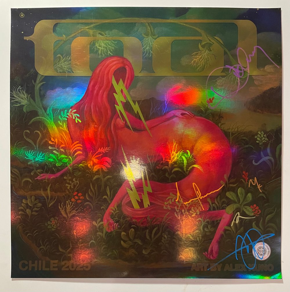 Image of Chile 2025 ("Signal") 7/7 Band-Signed