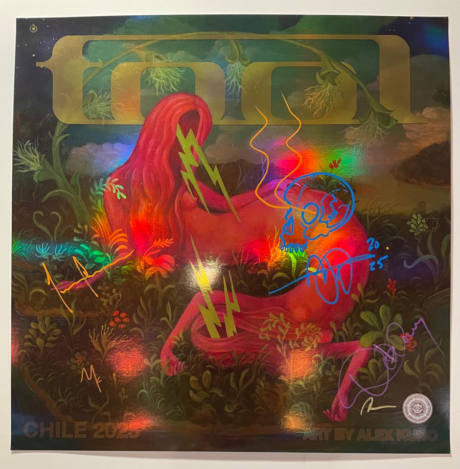 Image of Chile 2025 ("Signal") 1/1 ADAM JONES DOODLE, BAND-SIGNED