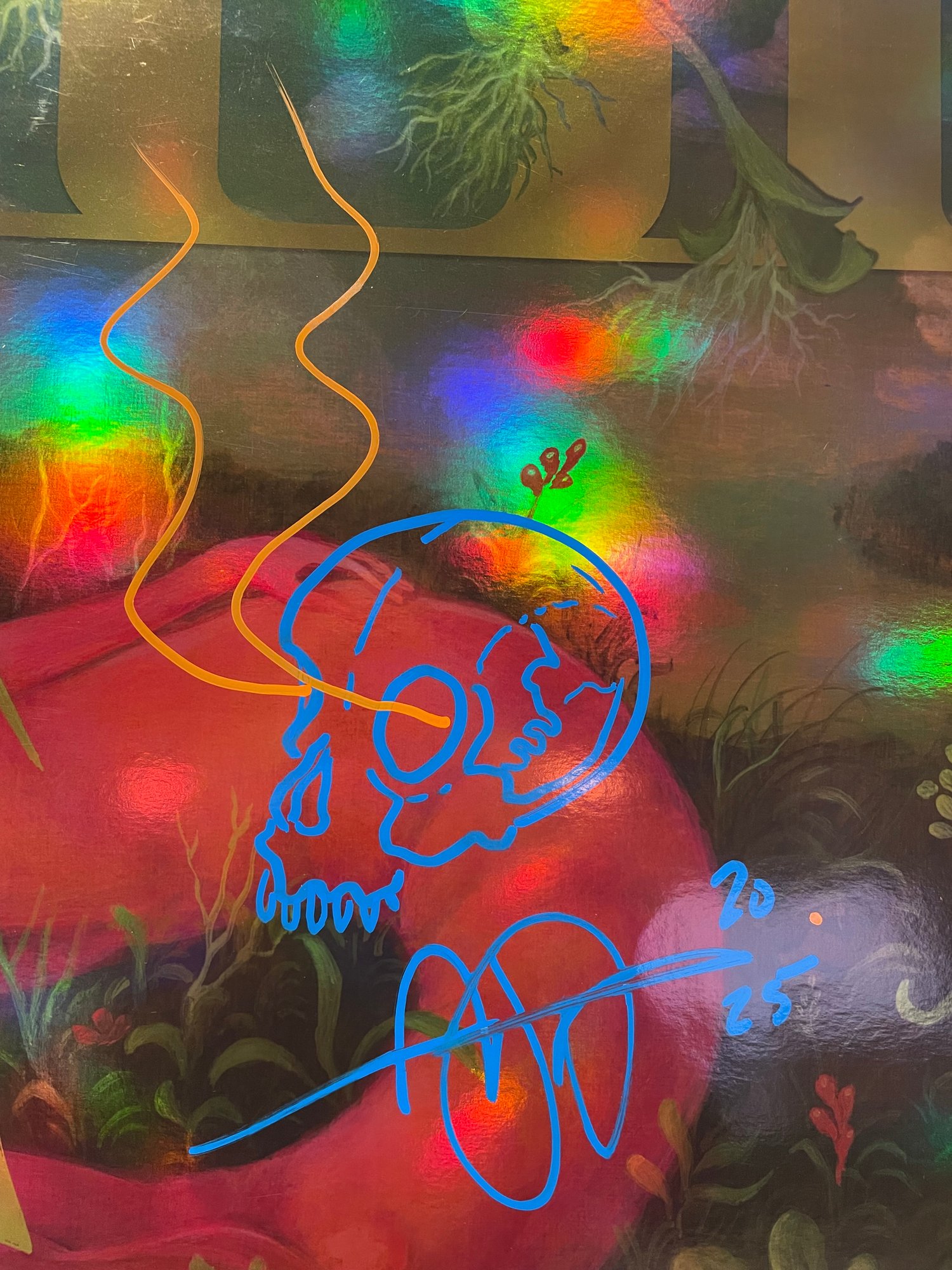 Image of Chile 2025 ("Signal") 1/1 ADAM JONES DOODLE, BAND-SIGNED