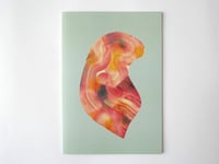 Image 1 of Bracken (book)