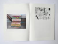 Image 3 of Bracken (book)