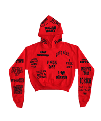 FEMME       FATALE       BABES        CROPPED        HOODIE       