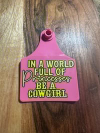 In A World Full Of Princess