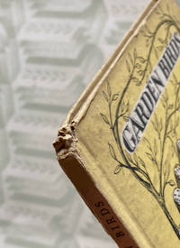 Image 2 of Garden Birds a vintage King Penguin book