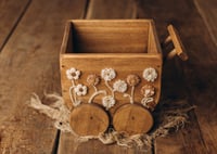 Baby Wagon with Flowers