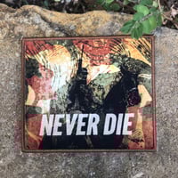 Image 1 of V2 NEVER DIE PATCH 