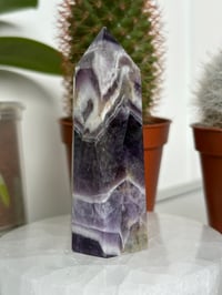Image 2 of Amethyst Tower
