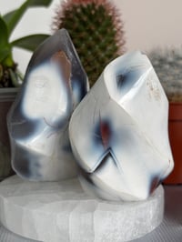 Image 1 of Orca Agate Flames