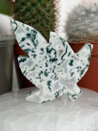 Image 1 of Moss Agate Leaves