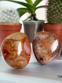 Image 1 of Carnelian Palmstones