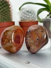 Image 2 of Carnelian Palmstones